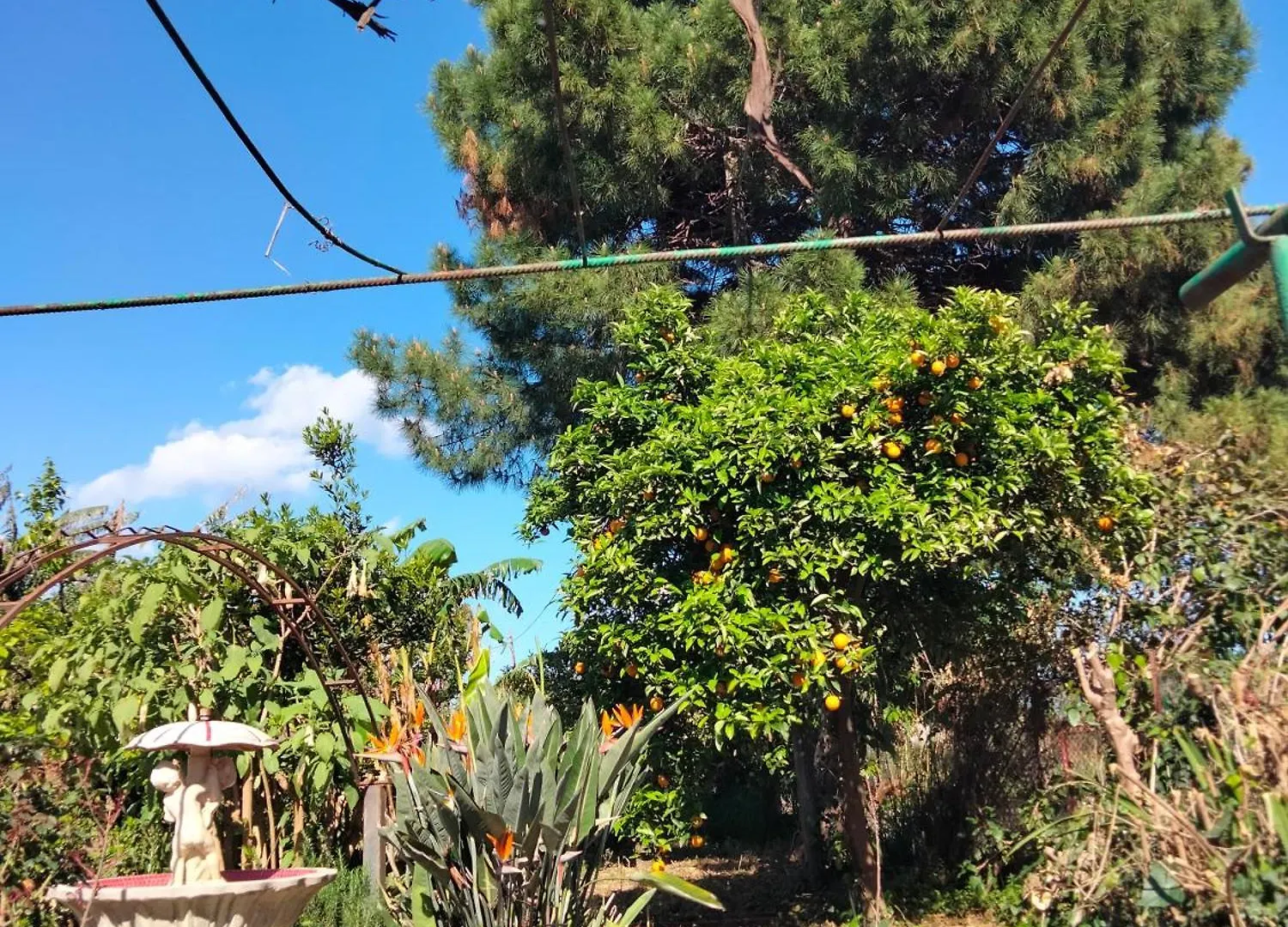 Etna View Villa Letizia A Taormina Holiday home