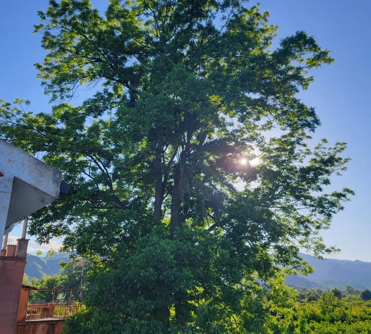 Holiday home Etna View Villa Letizia A Taormina